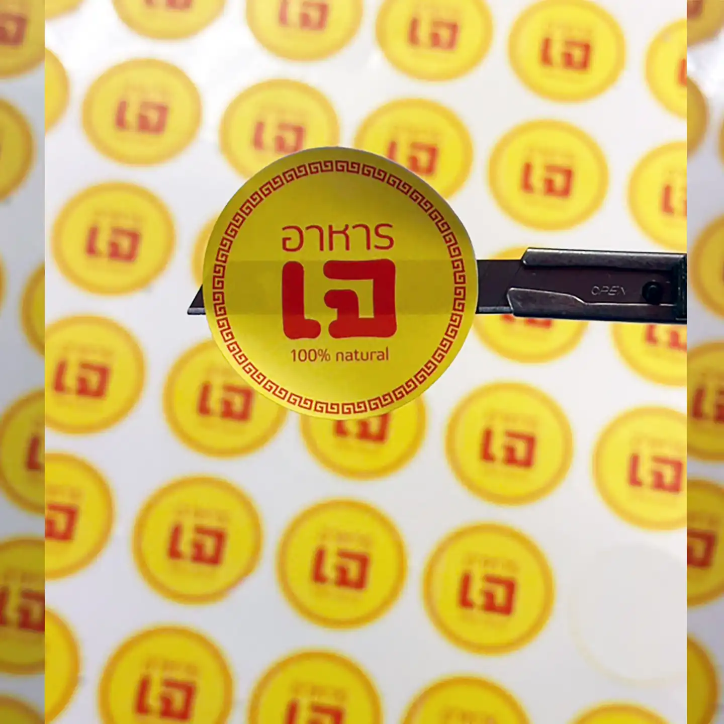 canvaตกแต่งอาหารเจ